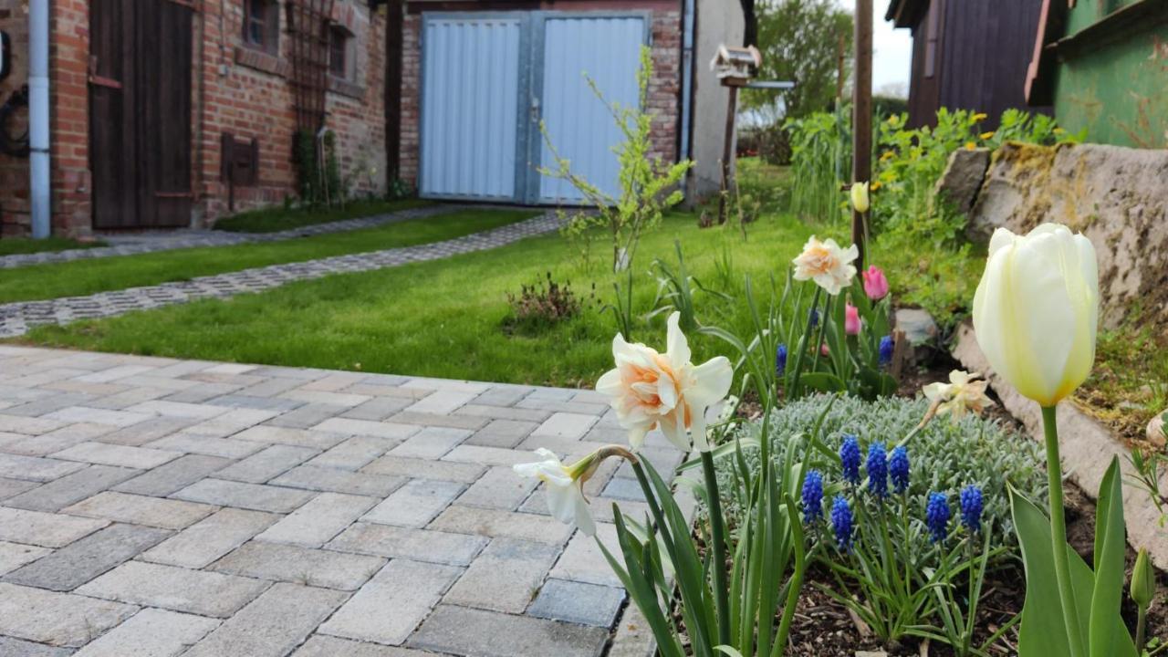 Ferienhaus Blaue Blume mit 11 kW Ladestation, Kamin, Terrasse, eingezäuntem Garten, WLAN, Netflix, Hunde willkommen! Güntersberge Exterior foto