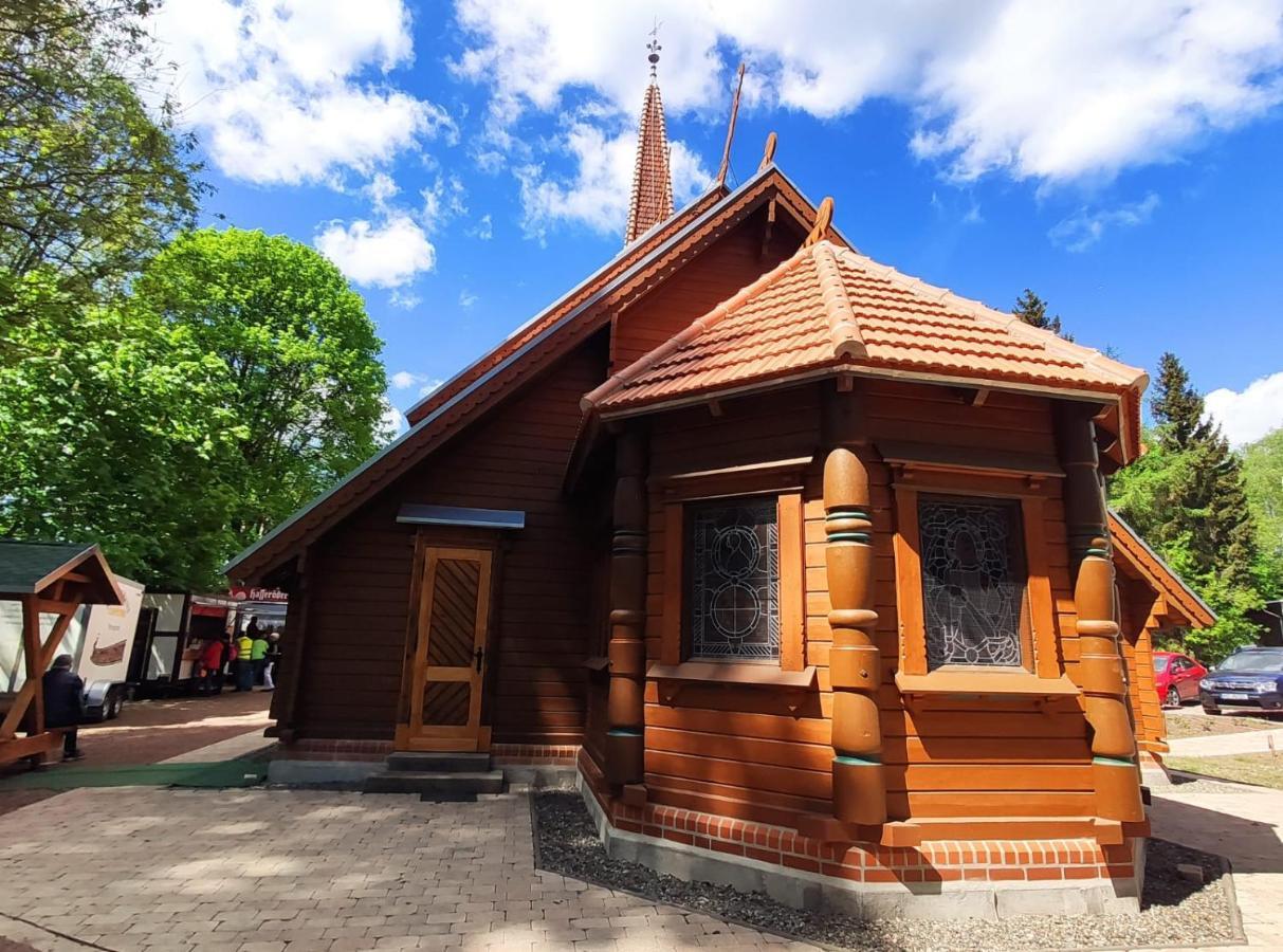 Ferienhaus Blaue Blume mit 11 kW Ladestation, Kamin, Terrasse, eingezäuntem Garten, WLAN, Netflix, Hunde willkommen! Güntersberge Exterior foto