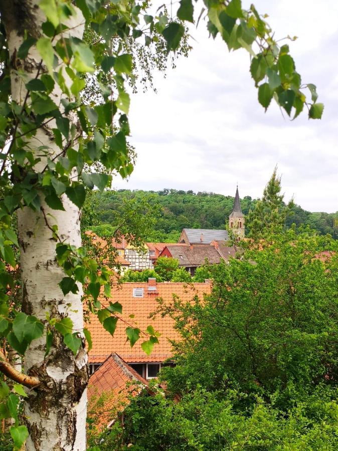 Ferienhaus Blaue Blume mit 11 kW Ladestation, Kamin, Terrasse, eingezäuntem Garten, WLAN, Netflix, Hunde willkommen! Güntersberge Exterior foto
